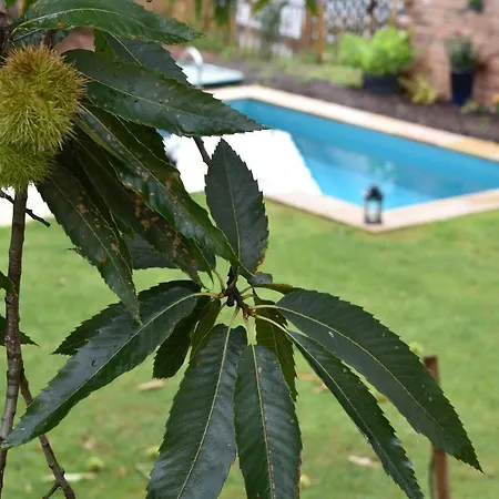 홈스테이 Annettes Pfalz 힌터바이덴탈