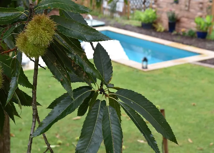 Ubytování v soukromí Annettes Pfalz Hinterweidenthal